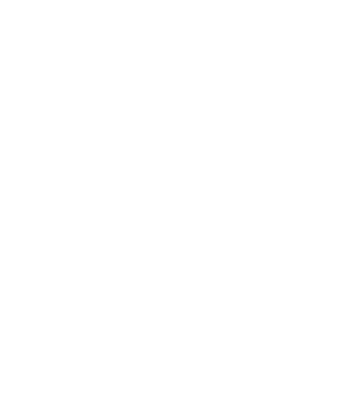 Mizola Global Sports